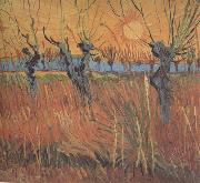 Vincent Van Gogh Willows at Sunset (nn04) France oil painting artist